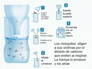 como-hacer-una-trampa-para-mosquitos-con-una-botella1